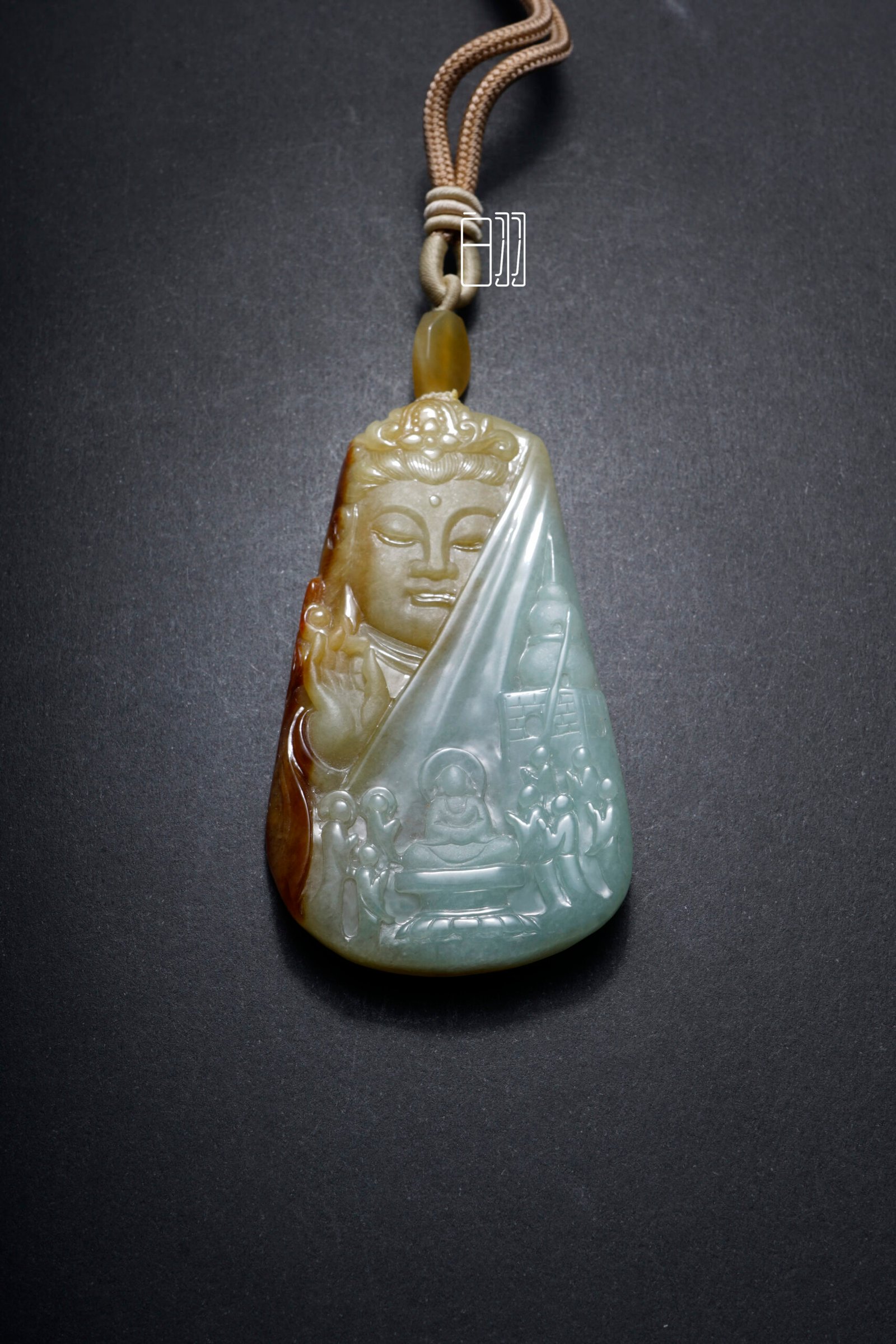 ficus decora burgundy ficus decora burgundy