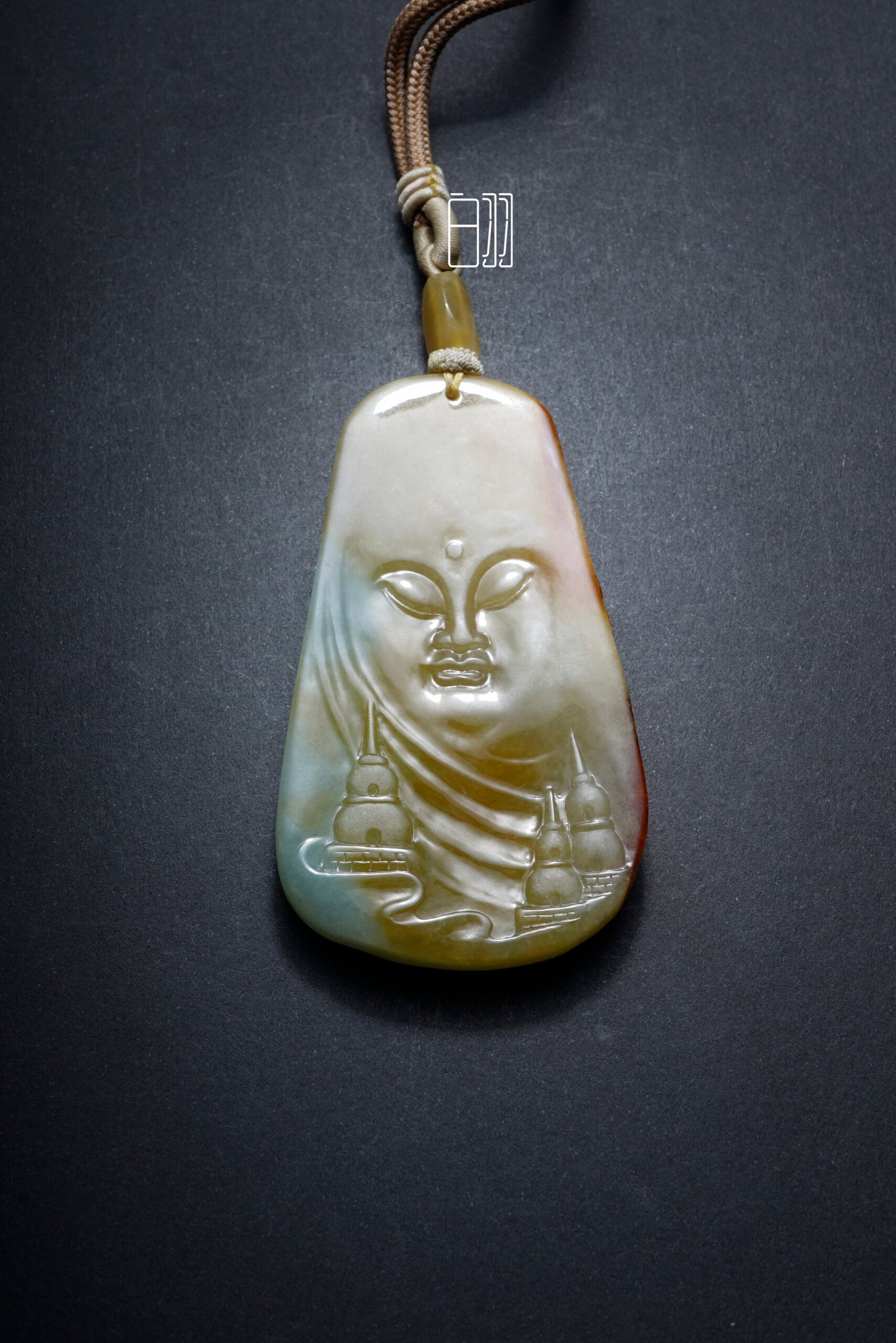 ficus decora burgundy ficus decora burgundy