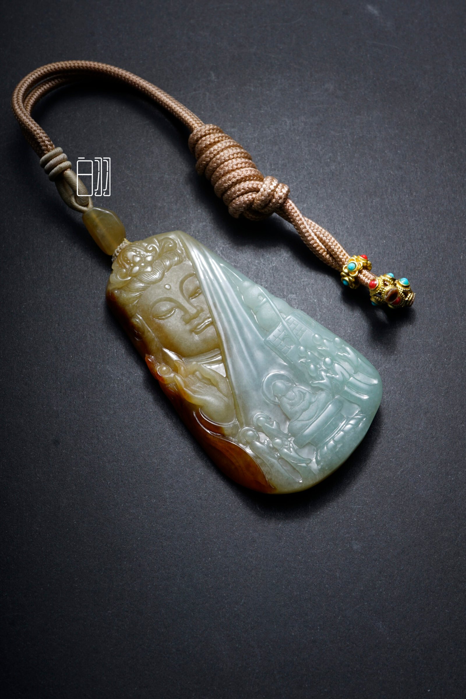 ficus decora burgundy ficus decora burgundy