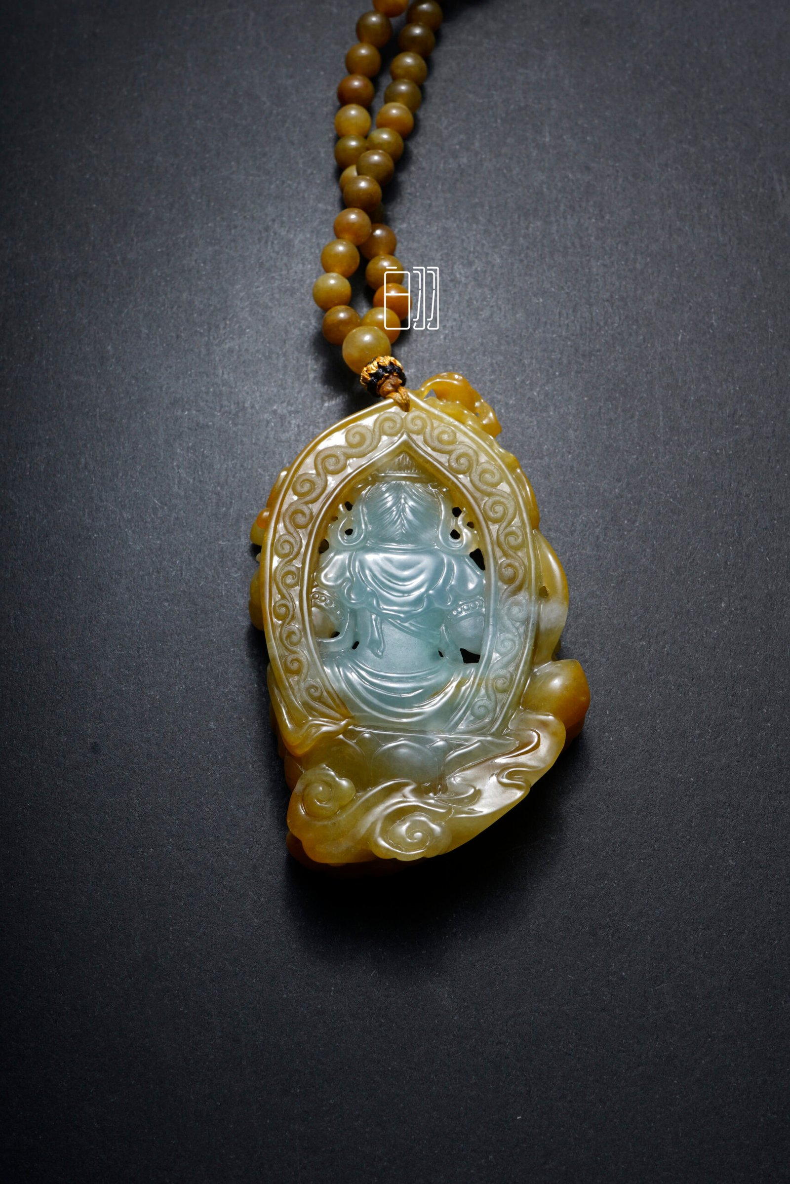 ficus decora burgundy ficus decora burgundy