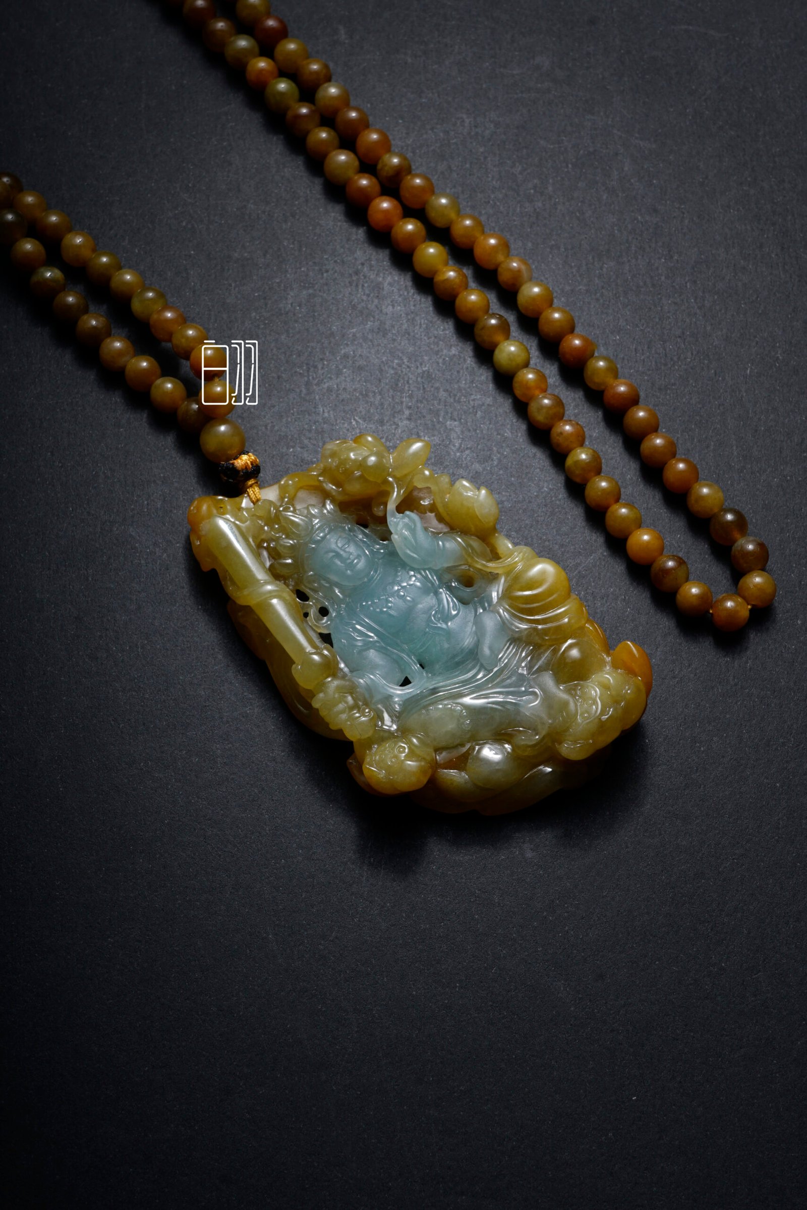 ficus decora burgundy ficus decora burgundy