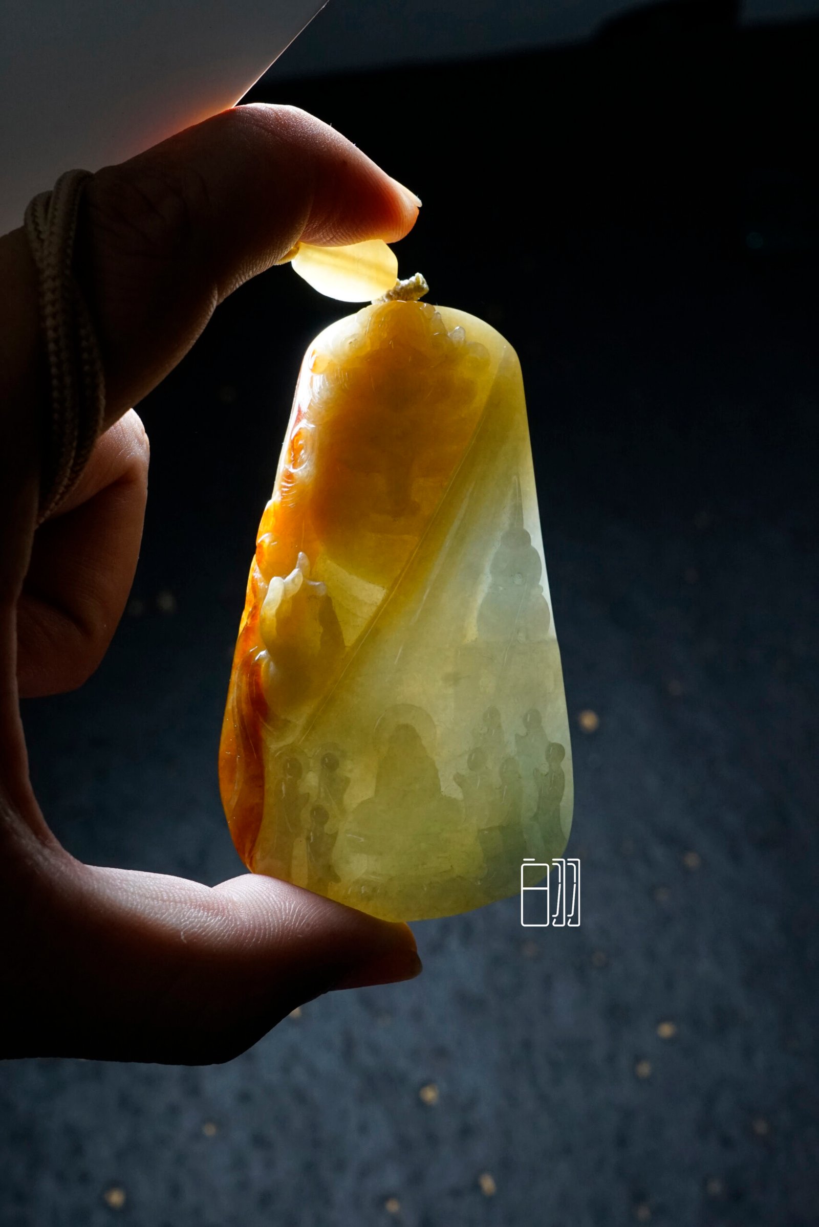 ficus decora burgundy ficus decora burgundy